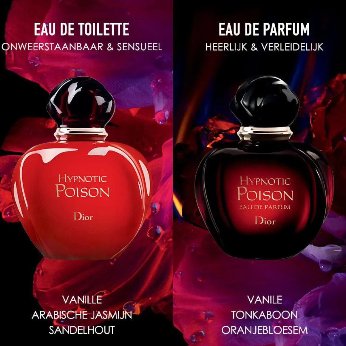 Dior Hypnotic Poison Eau De Parfum Kopen