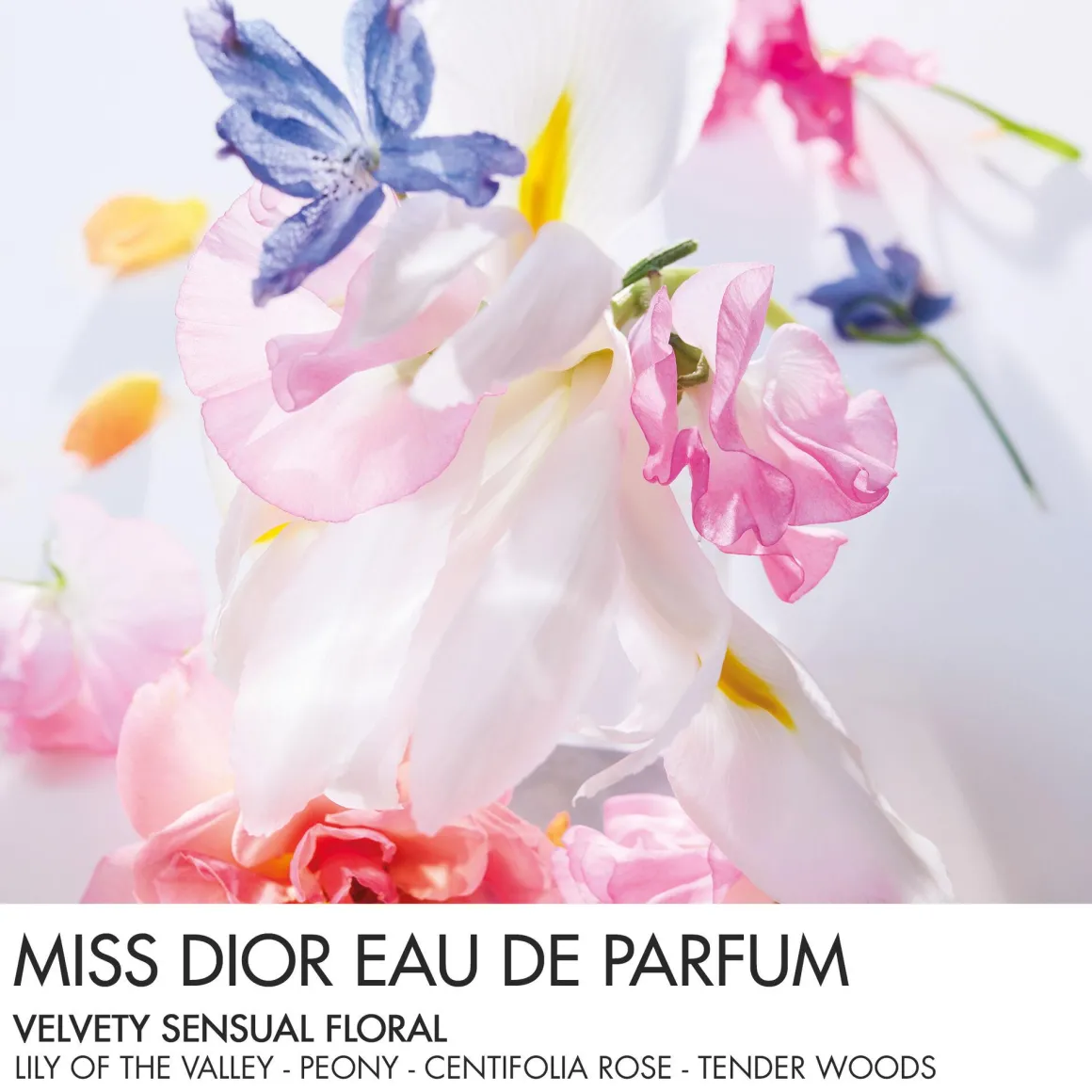 Dior Miss Dior Eau De Parfum Mini Miss
