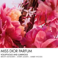 Dior Miss Dior Parfum Mini Miss Kopen