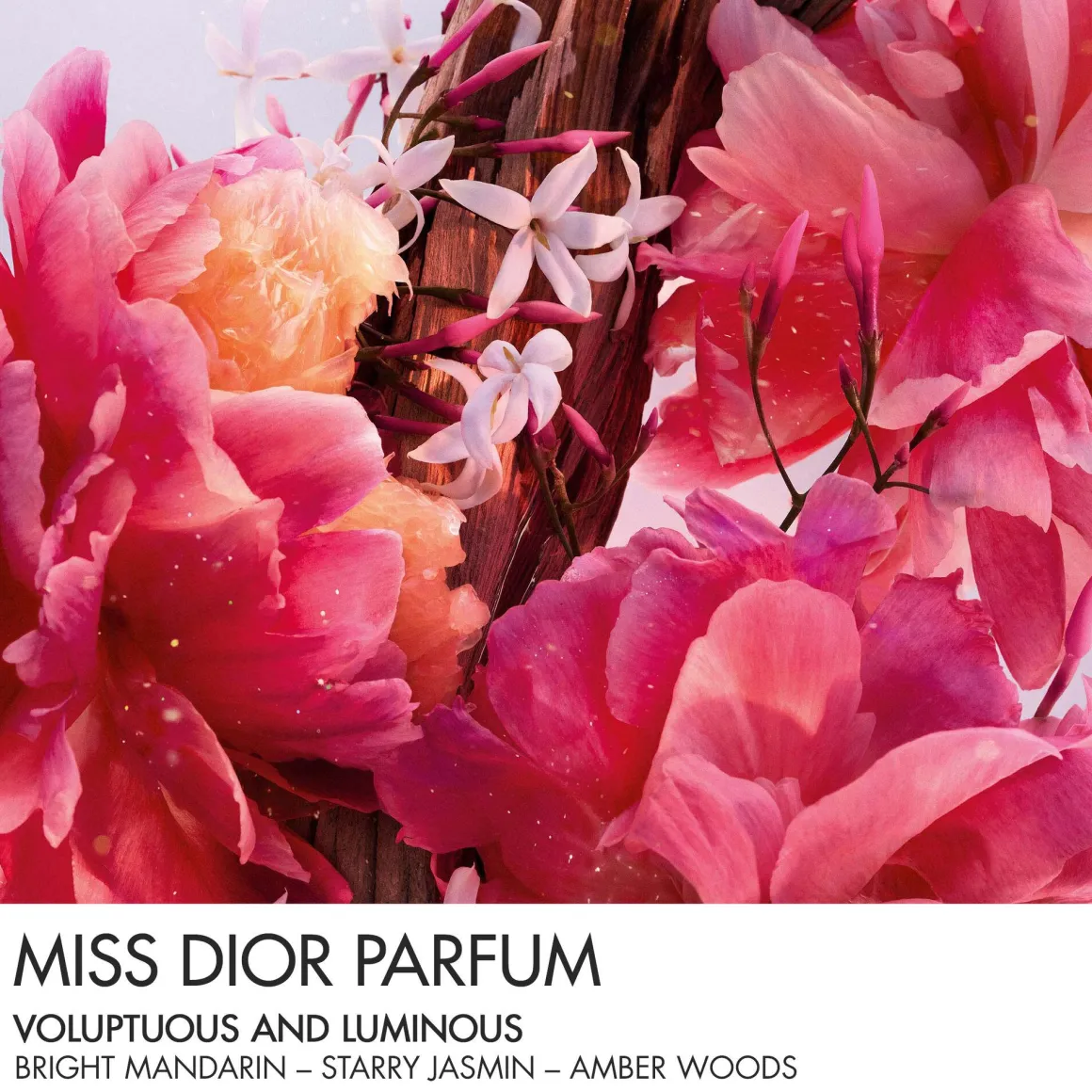 Dior Miss Dior Parfum Mini Miss Kopen