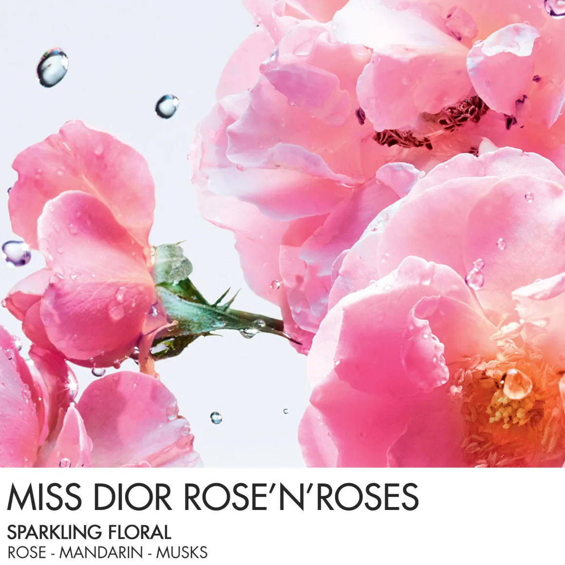 Dior Miss Dior Rose N'Roses RollerPearl