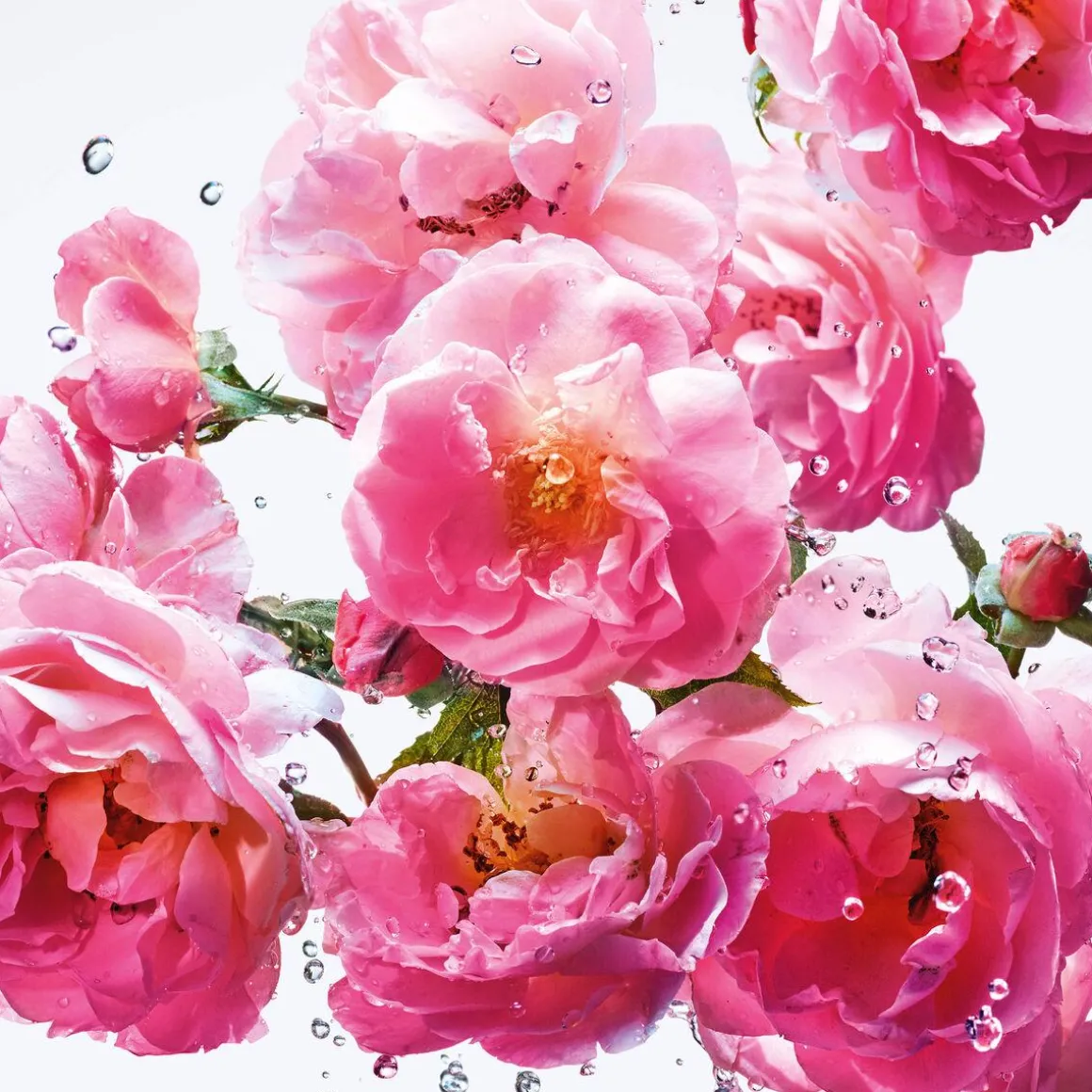 Dior Miss Dior Rose N'Roses RollerPearl