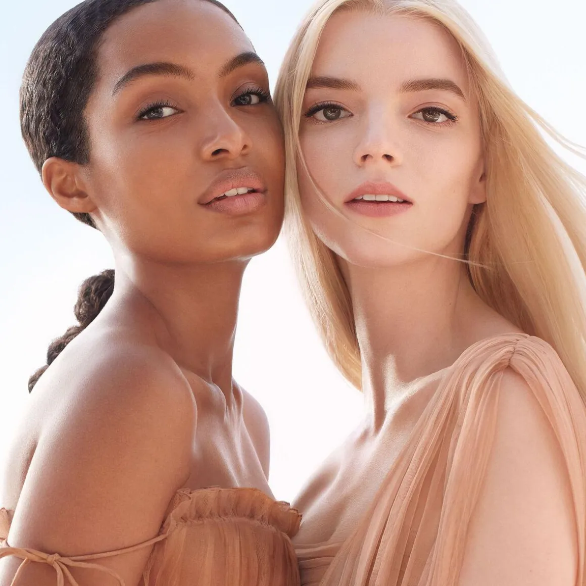 Dior Rouge Blush Kopen