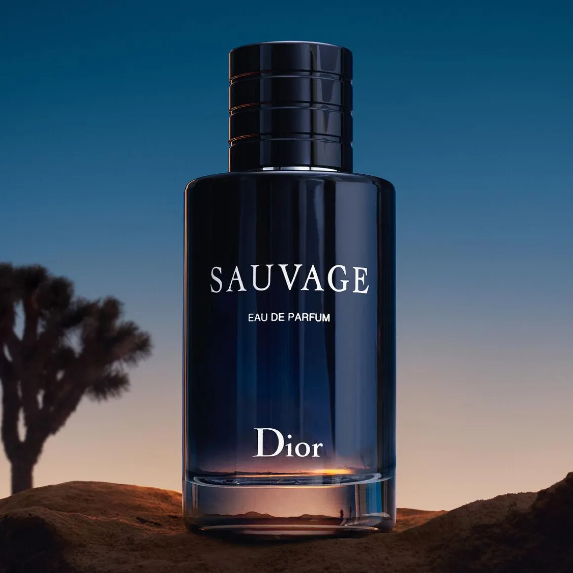 Dior Sauvage Eau De Parfum Kopen