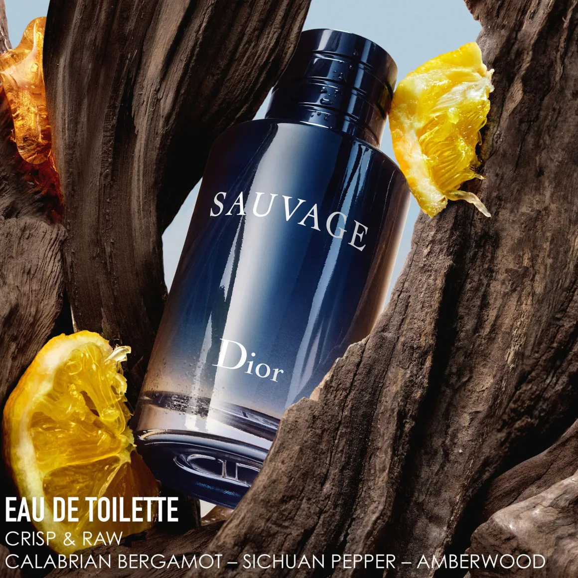Dior Sauvage Eau De Toilette Kopen