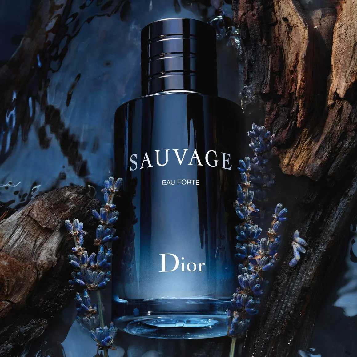 Dior Sauvage Eau Forte Parfum Kopen