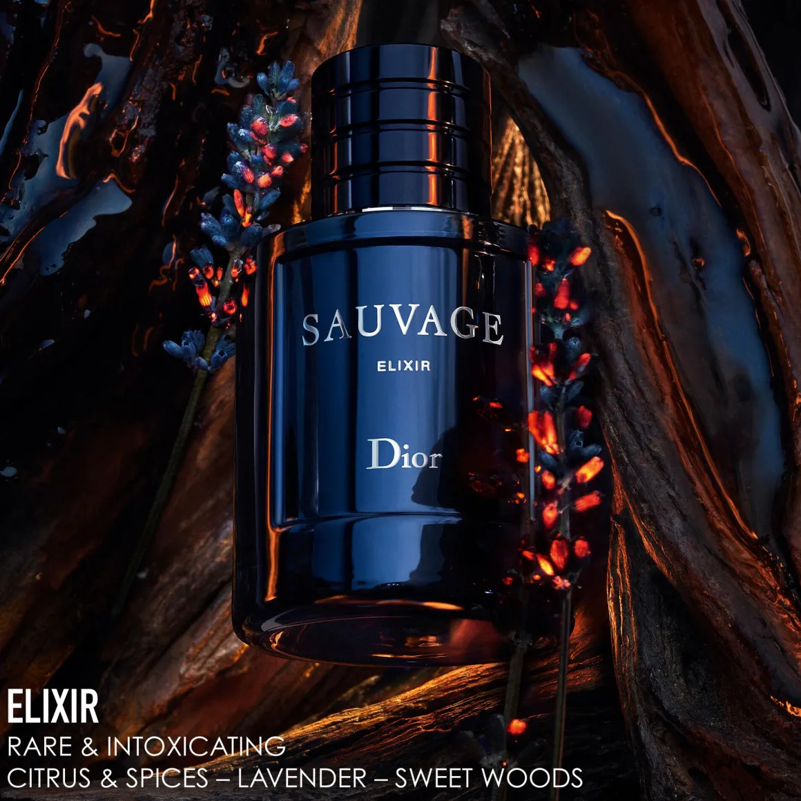 Dior Sauvage Elixir Parfum Kopen