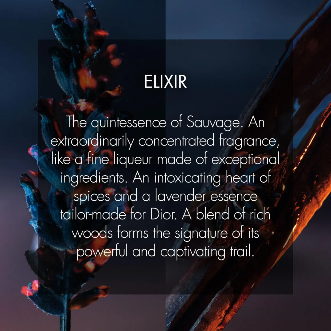 Dior Sauvage Elixir Parfum Kopen
