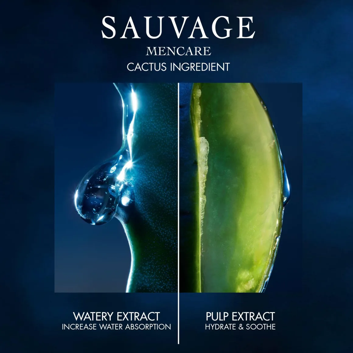 Dior Sauvage The Serum Kopen