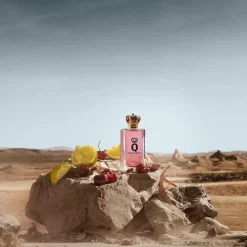 Dolce & Gabbana Q Eau De Parfum Kopen
