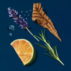 Giorgio Armani Acqua Di Giò Profondo Parfum