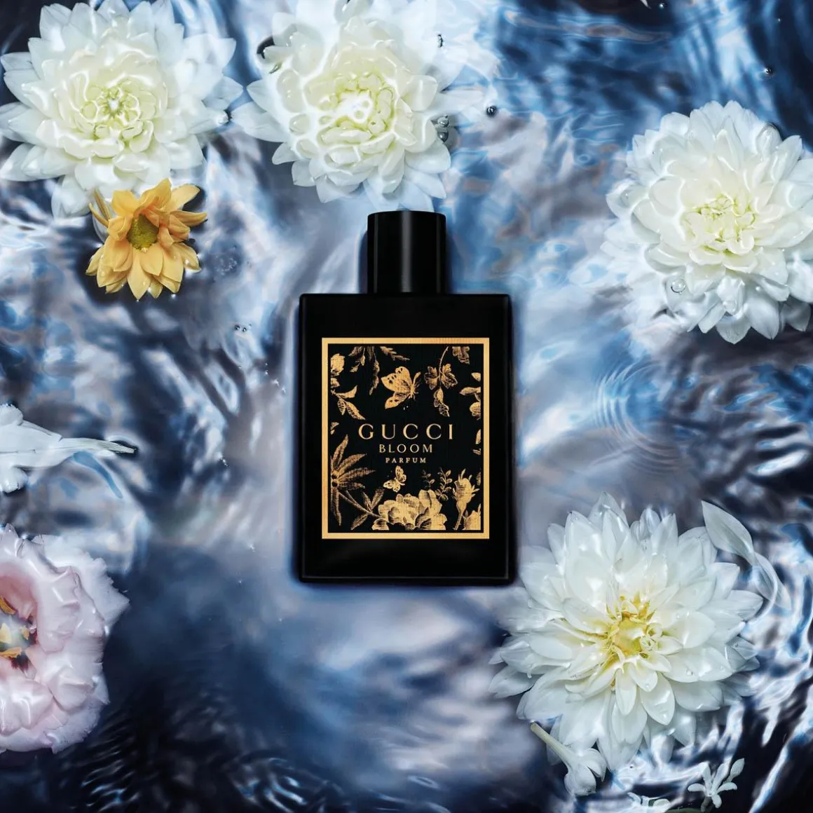 Gucci Bloom Parfum Kopen