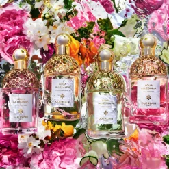 Guerlain Aqua Allegoria Pampelune Kopen