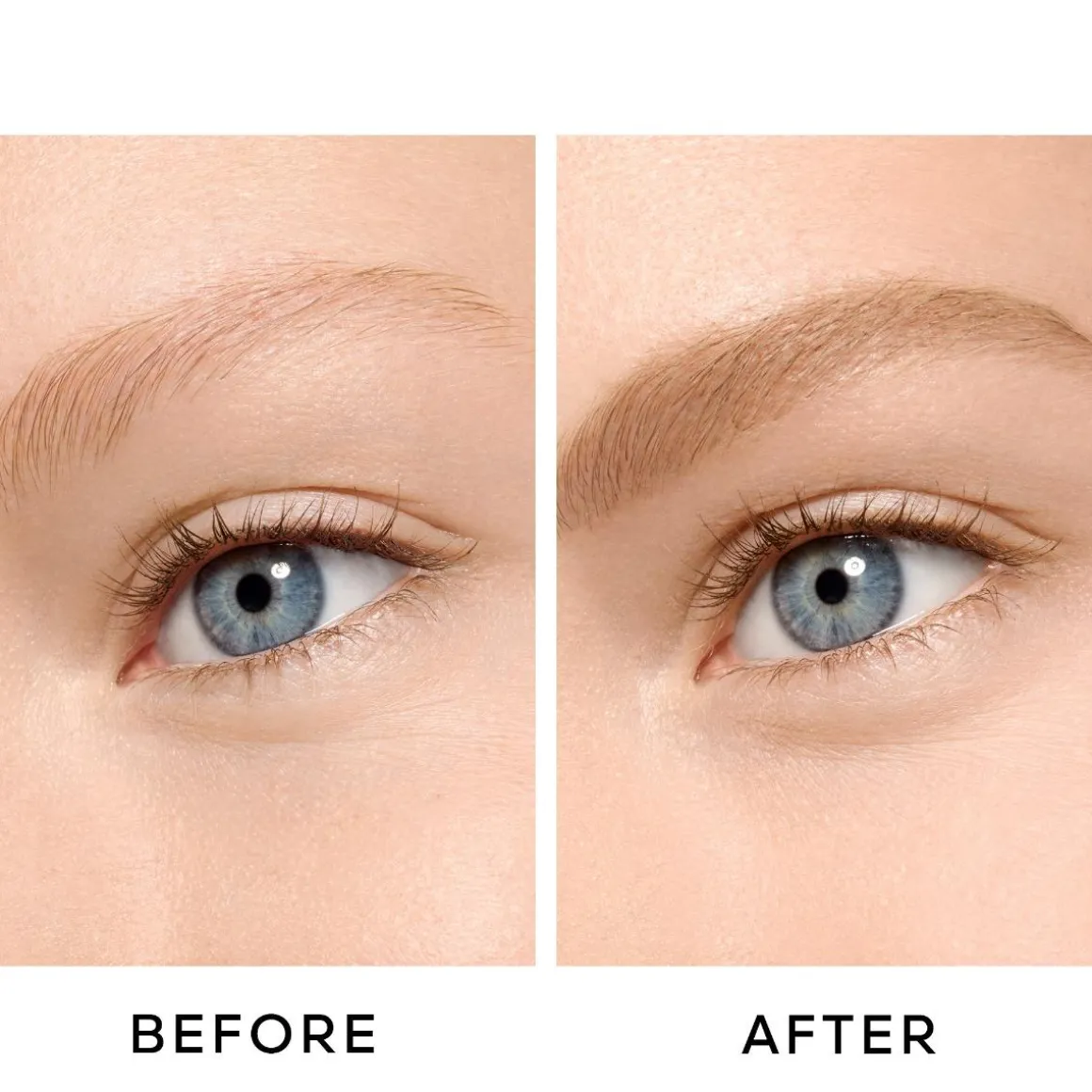 Guerlain Bee Beauty Secret Sourcils Kopen