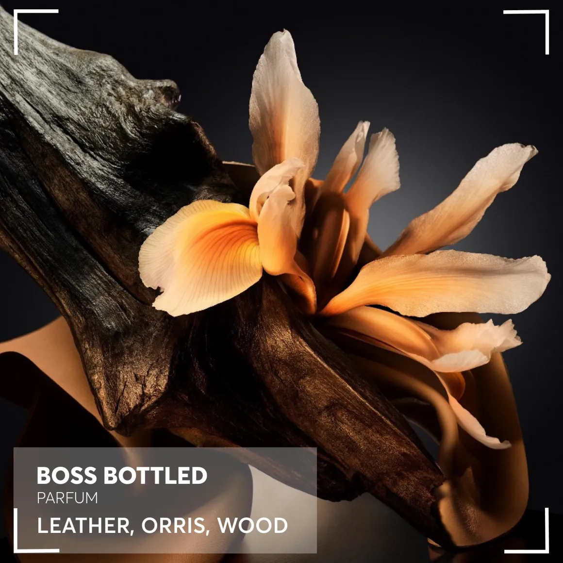 Hugo Boss BOSS Bottled Parfum Kopen