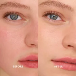 Infinite Bronze Tinted Protection Sunlight