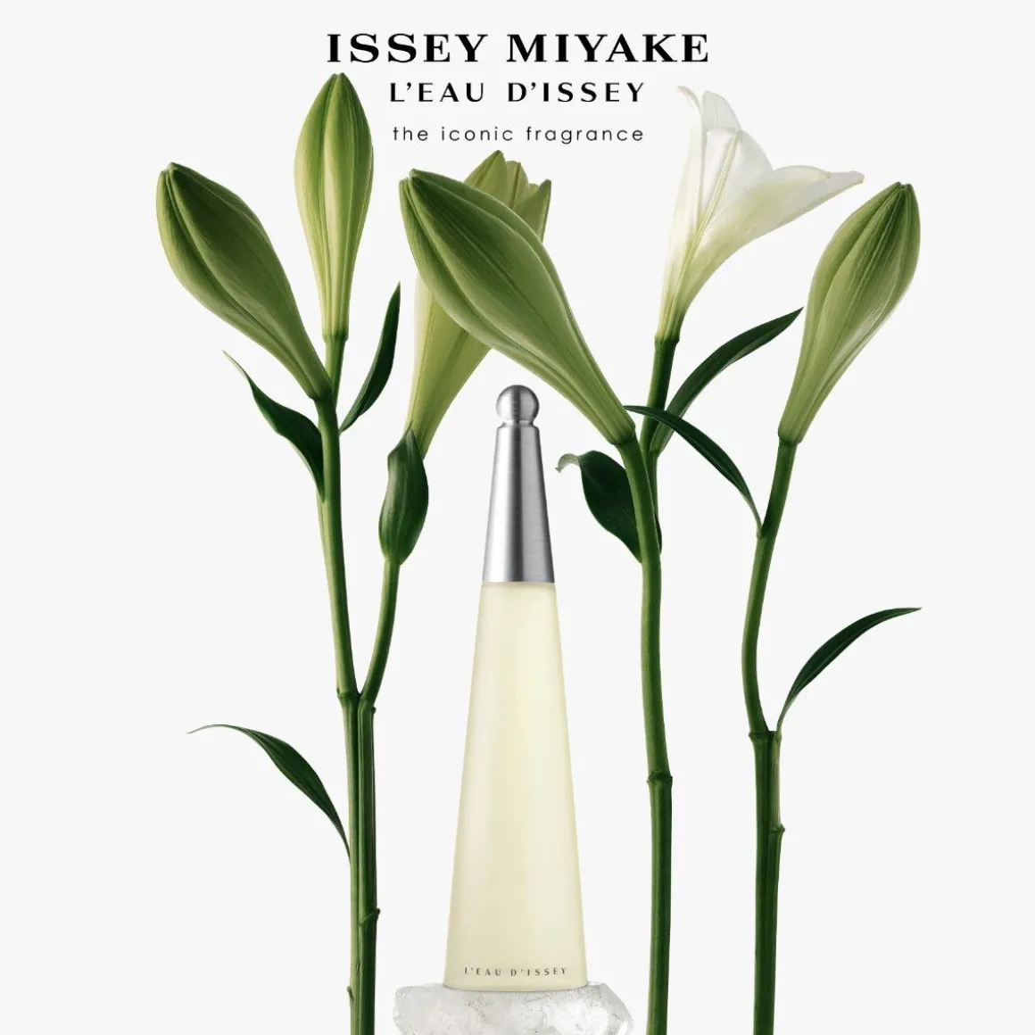 Issey Miyake L'Eau D'Issey Kopen