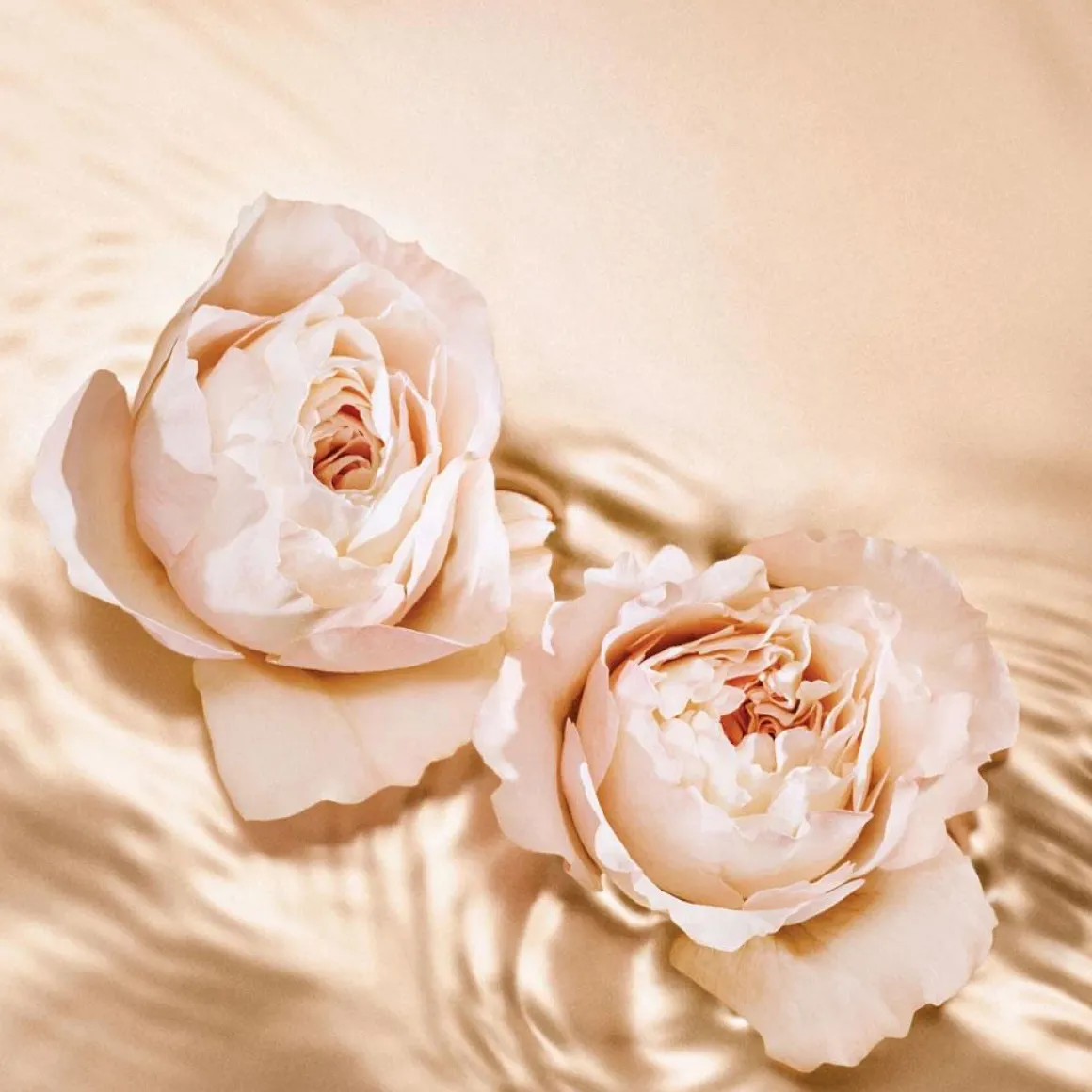 Jimmy Choo Tempting Rose Eau De Parfum