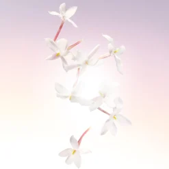 Lancôme Idôle Eau De Parfum Kopen