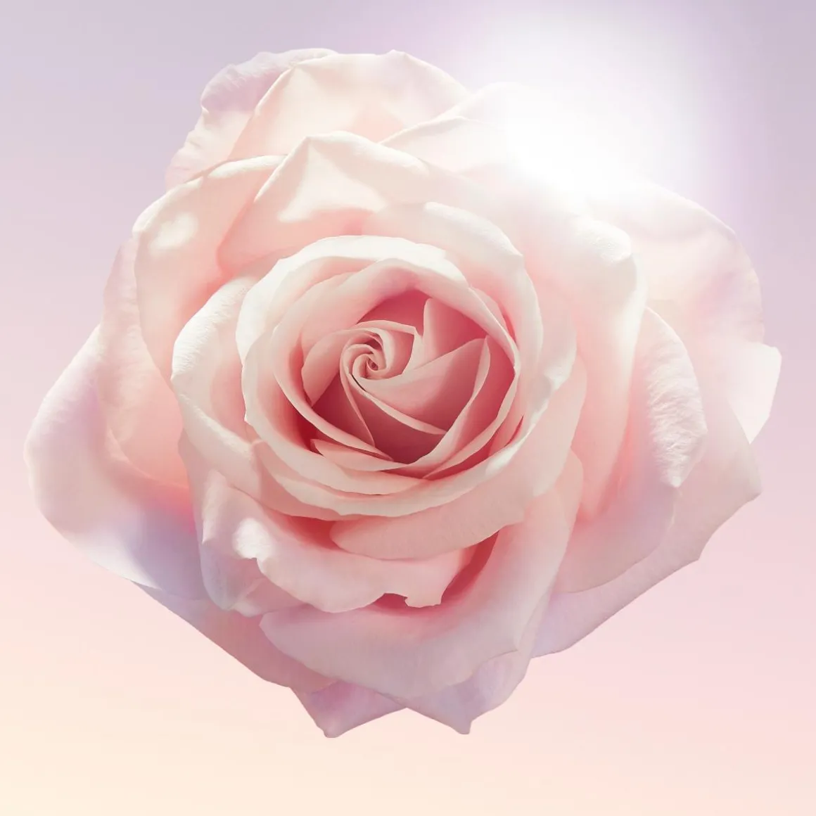 Lancôme Idôle Eau De Parfum Kopen