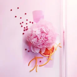 Lancôme Miracle Eau De Parfum Kopen