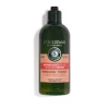 L'Occitane Intensive Repair Shampoo Kopen
