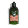 L'Occitane Intensive Repair Conditioner