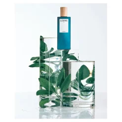 Loewe 7 Cobalt Eau De Parfum Kopen