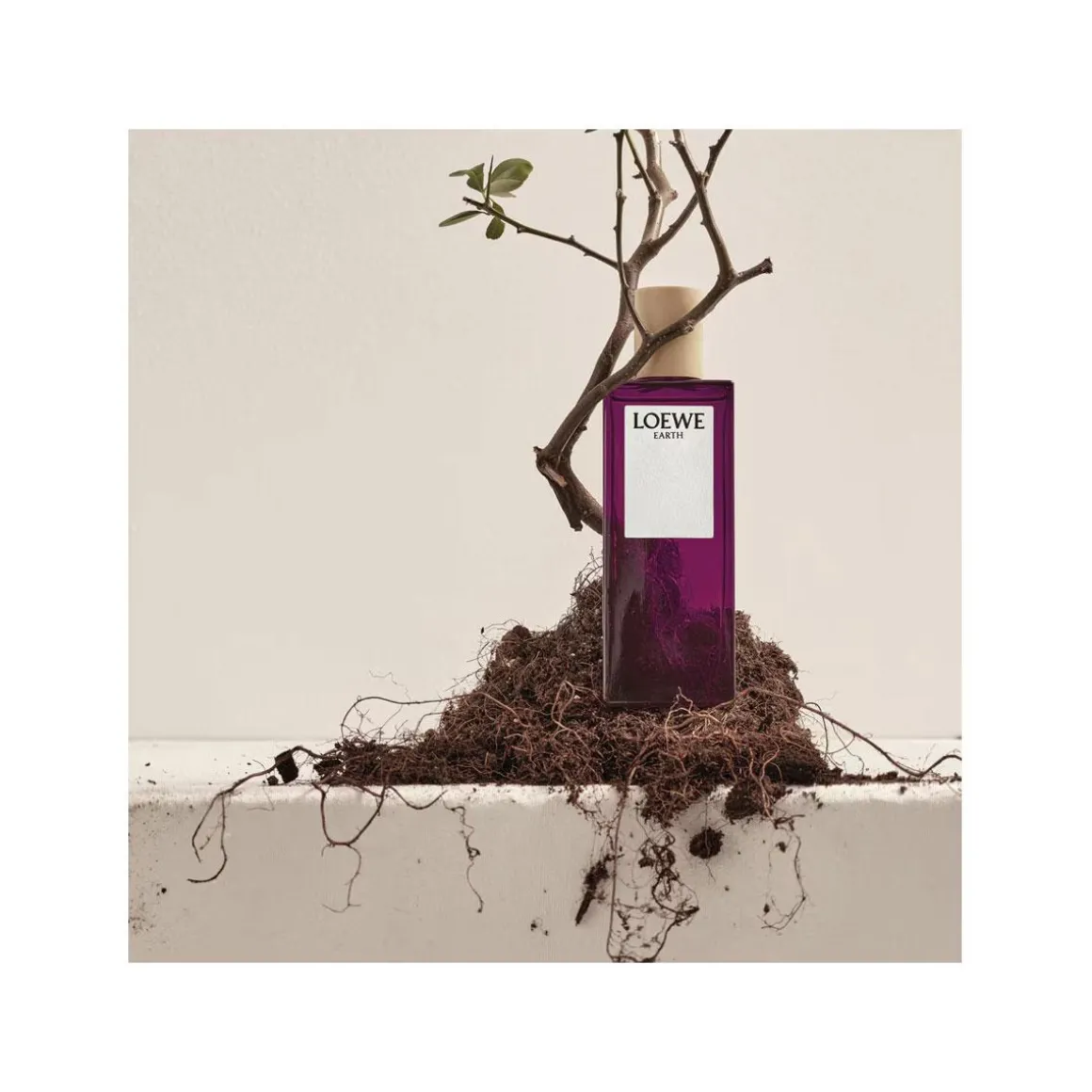 Loewe Earth Eau De Parfum Kopen