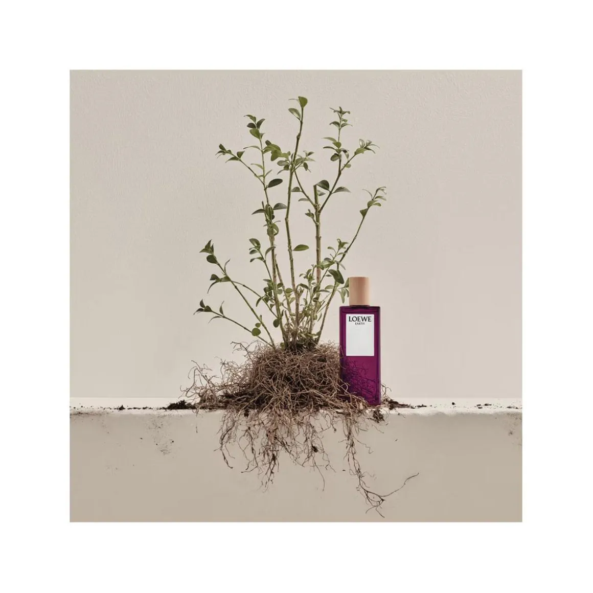 Loewe Earth Eau De Parfum Kopen