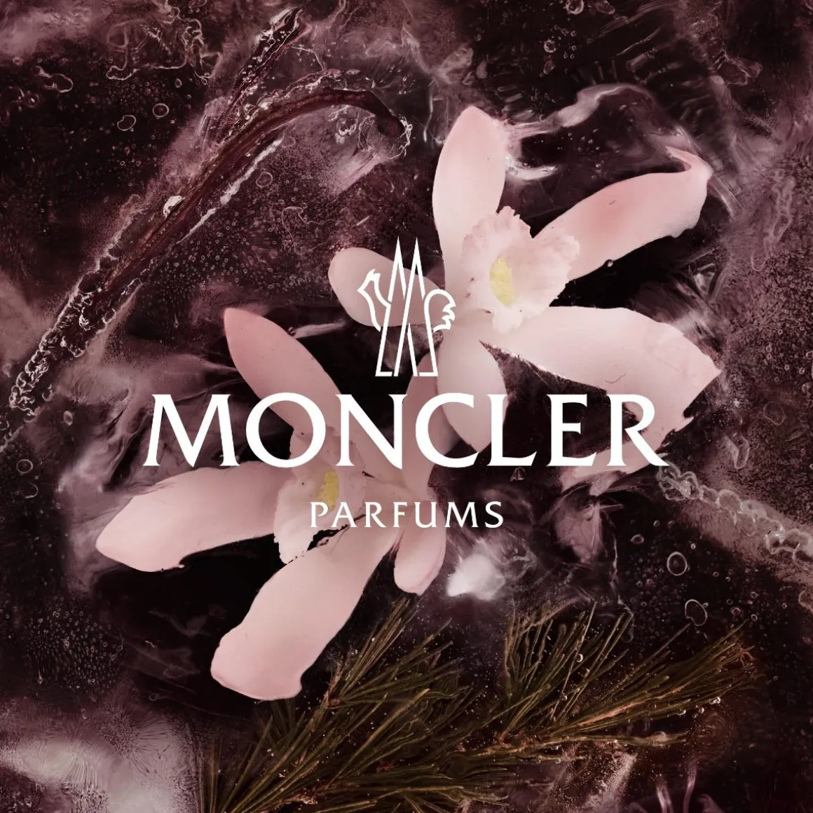 Moncler Haute Montagne Eau De Parfum Kopen