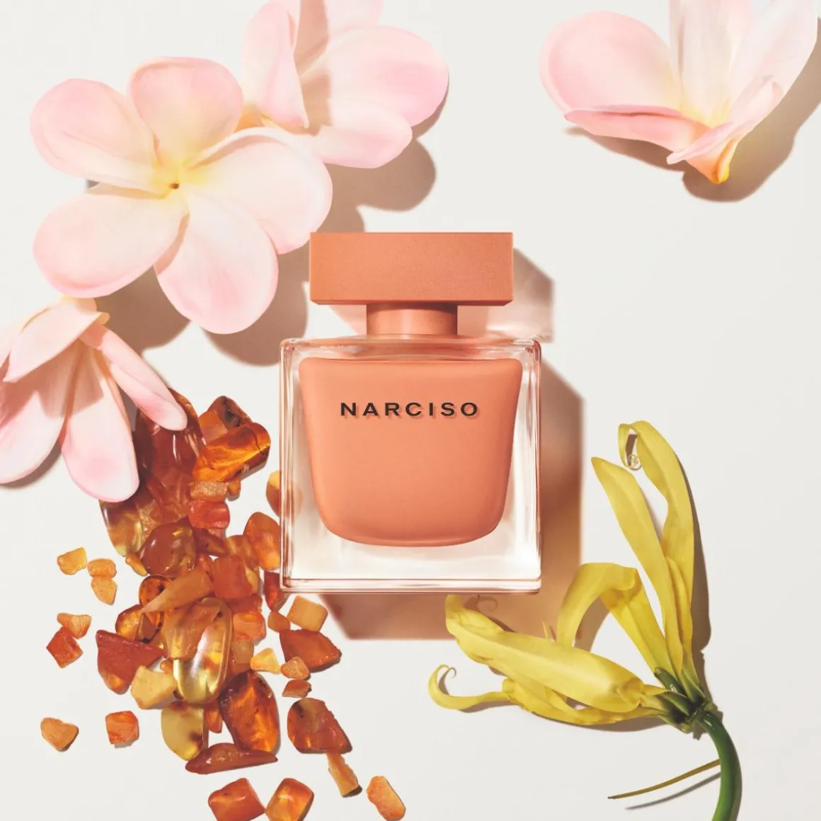 Narciso Rodriguez Narciso Ambree Parfum