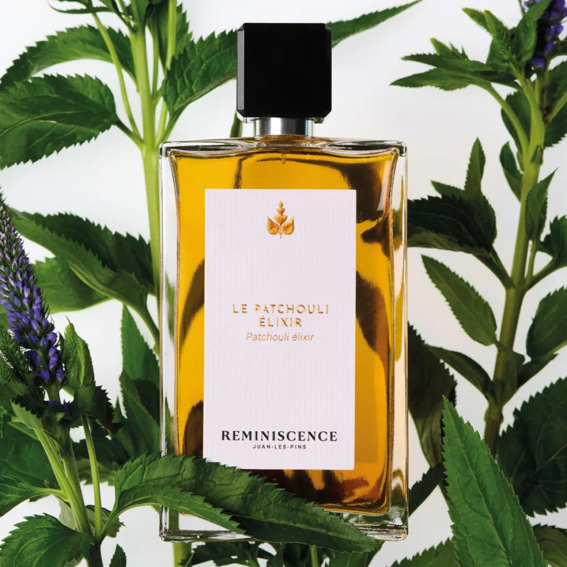 Reminiscence Le Patchouli Elixir Parfum