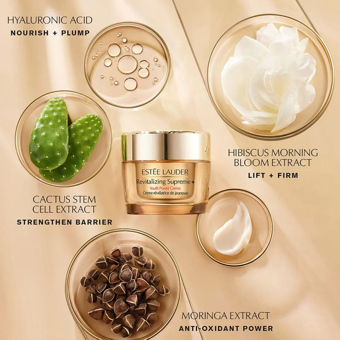 Revitalizing Supreme+ Youth Power Creme