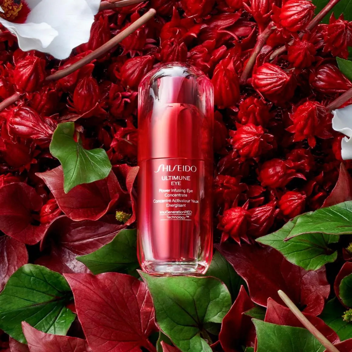 Shiseido Ultimune Eye Concentrate Kopen