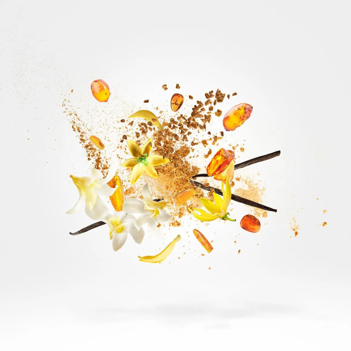Shooting Stars Amber & Musk Collection