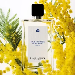 Sous Un Mimosa De Provence Intense Kopen