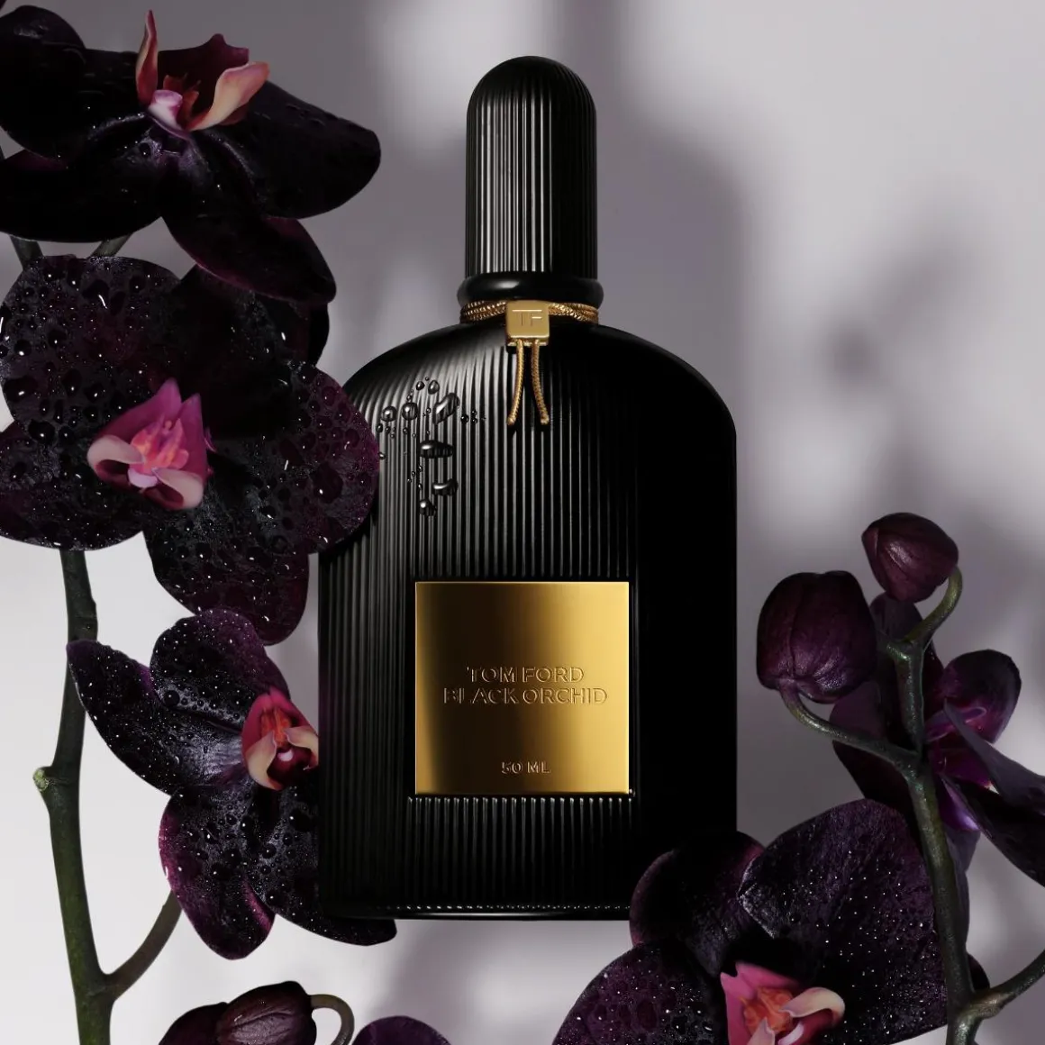 Tom Ford Black Orchid Eau De Parfum Kopen