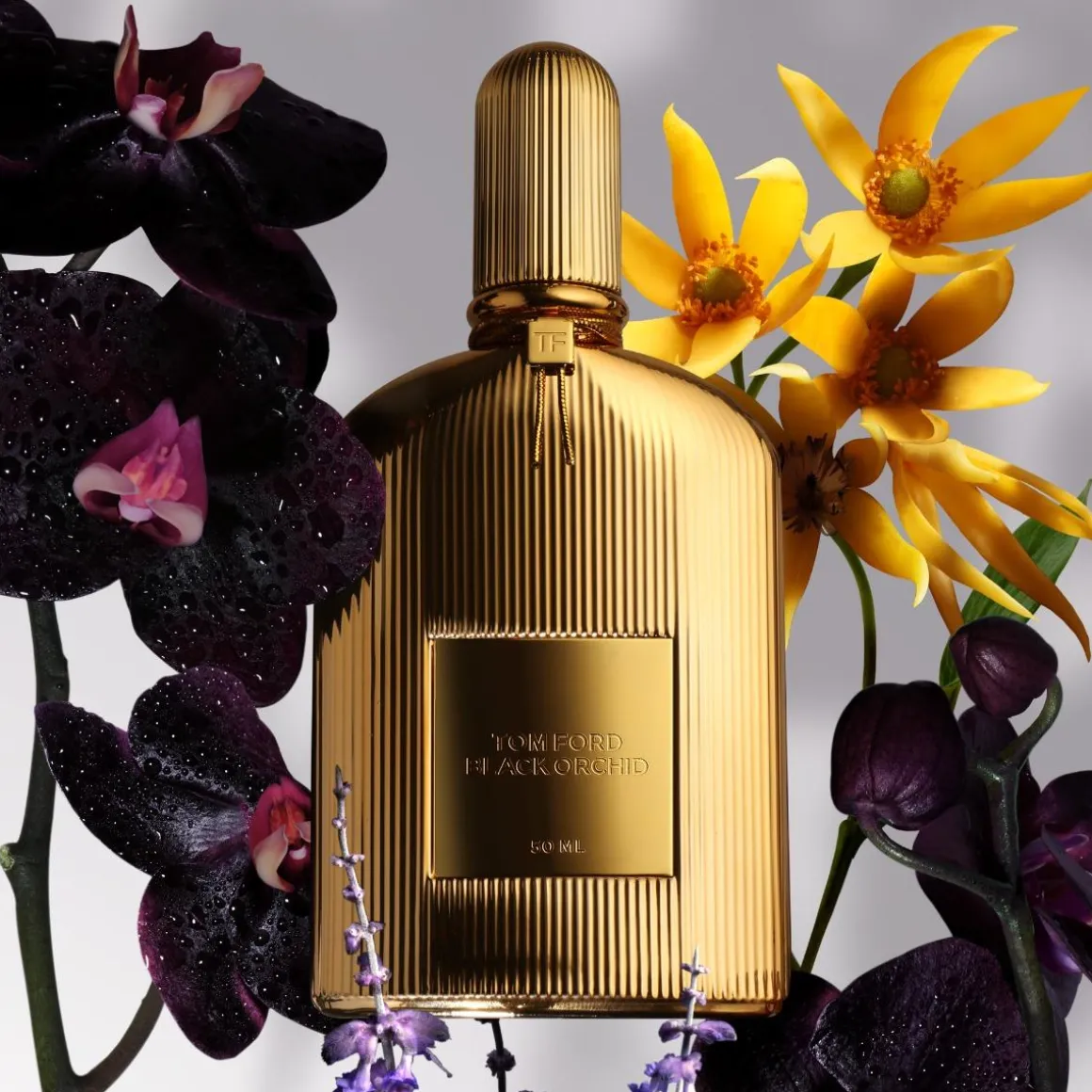 Tom Ford Black Orchid Parfum Kopen