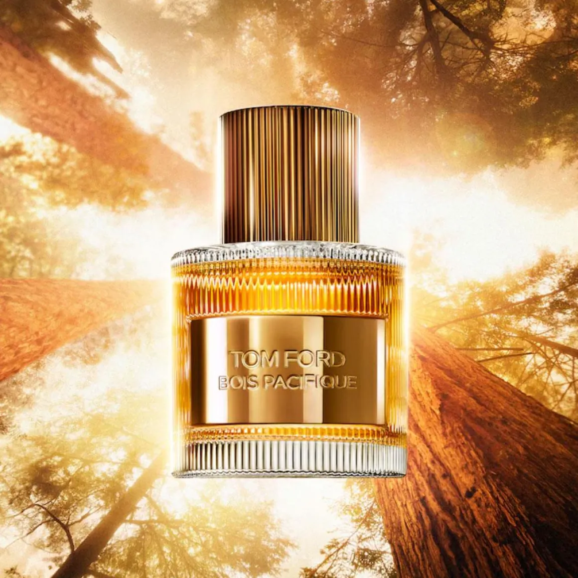 Tom Ford Bois Pacifique Eau De Parfum Kopen