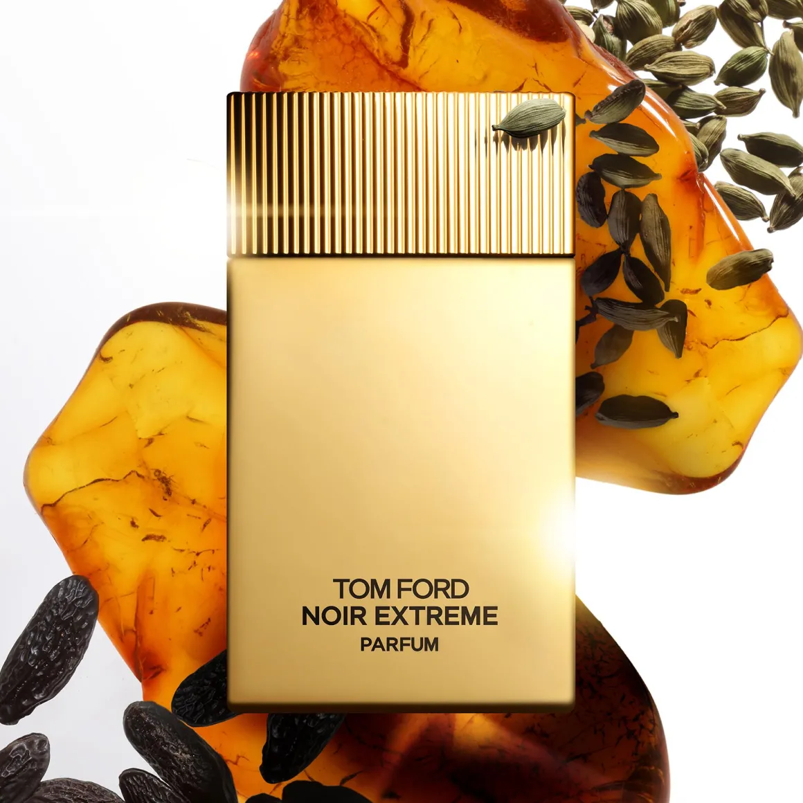 Tom Ford Noir Extrême Parfum Kopen