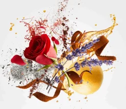 Xerjoff Blends De Vonoge Louis XV Parfum