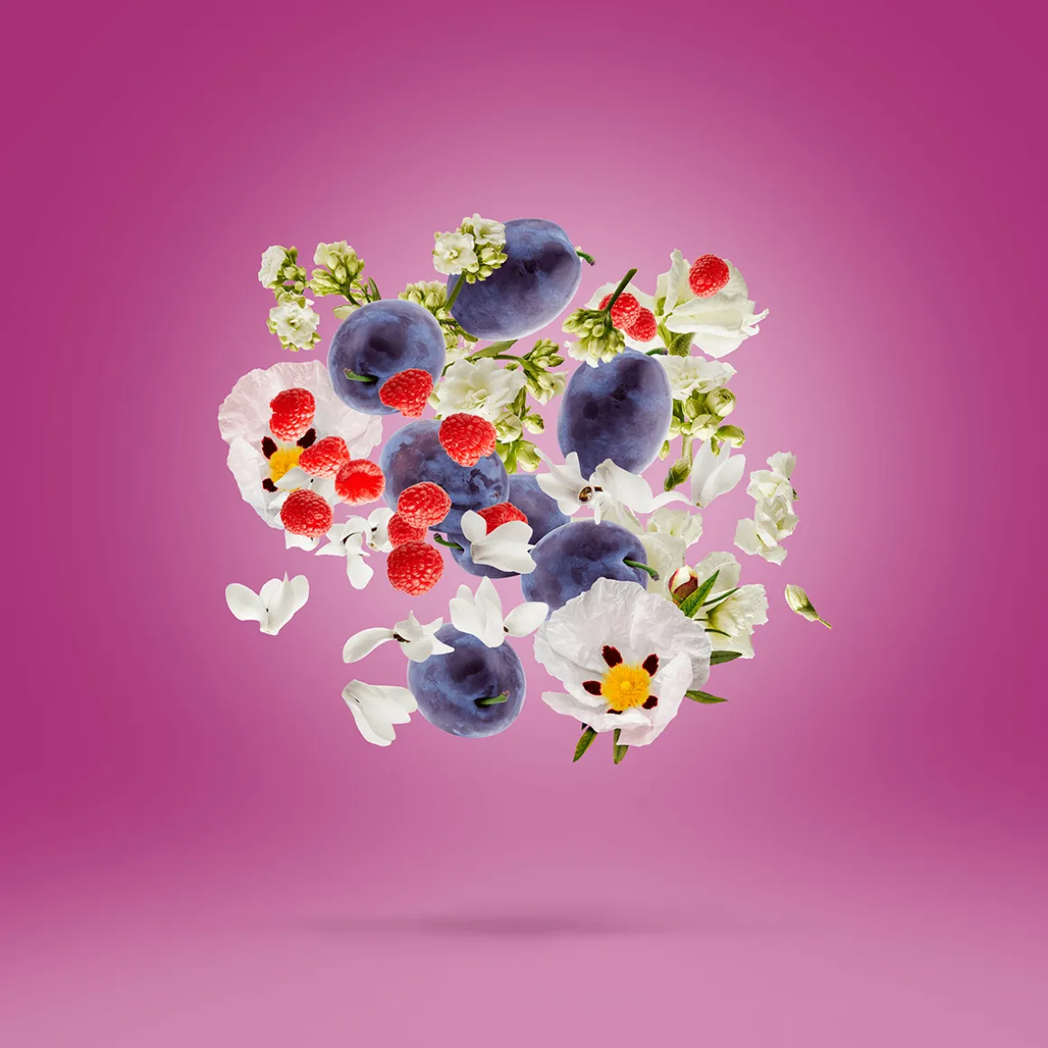 Xerjoff Muse Eau De Parfum Kopen