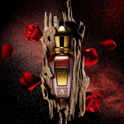 Xerjoff Oud Stars Alexandria III Parfum