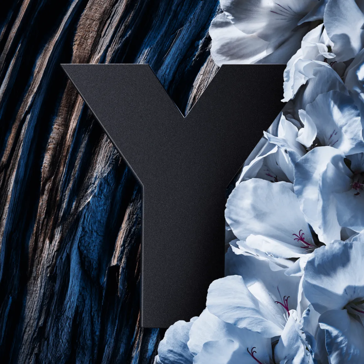 Yves Saint Laurent Y Men L'Elixir Kopen